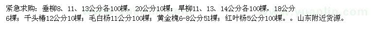 求购垂柳、旱柳、千头椿等