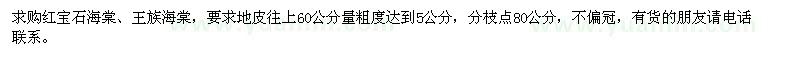 求购红宝石海棠、王族海棠