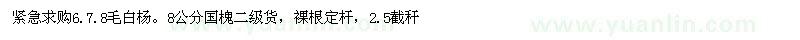 求购6、7、8毛白杨