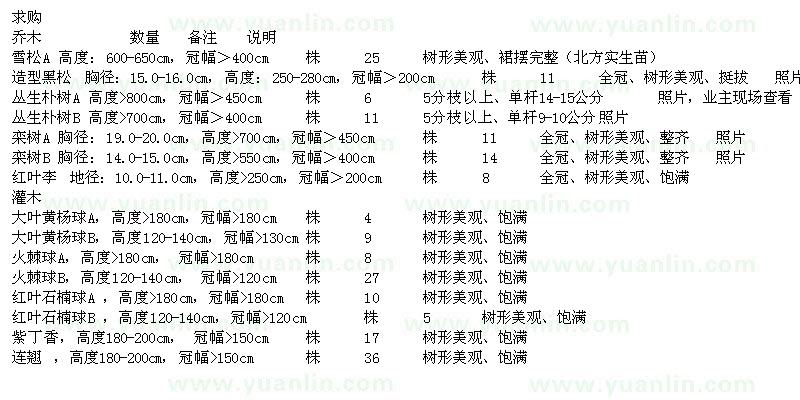 求购雪松、栾树、红叶李等