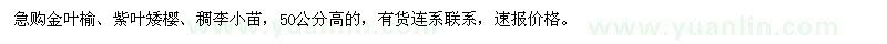 求购金叶榆、紫叶矮樱、稠李小苗