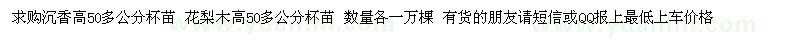 求购高50多公分沉香杯苗、花梨木杯苗