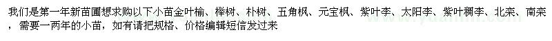 求购金叶榆、榉树、朴树