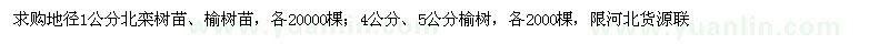 求购栾树苗、榆树苗