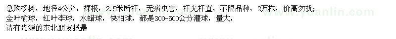 求购杨树、金叶榆球、红叶李球