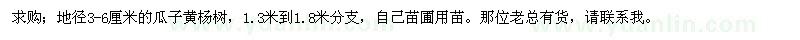 求购地径3-6公分瓜子黄杨树