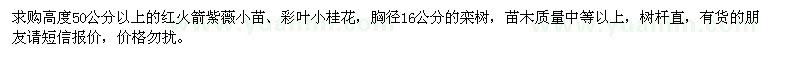 求购红火箭紫薇小苗、彩叶小桂花、栾树