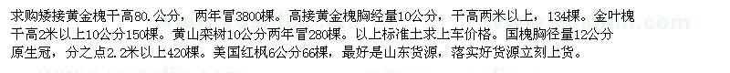 求购黄金槐、金叶槐、黄山栾树、国槐、美国红枫