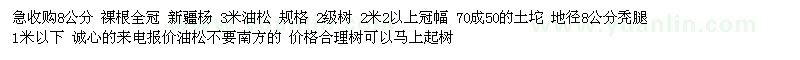 求购3米油松、8公分新疆杨