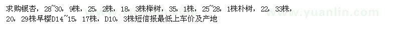 求购银杏、榉树、朴树，早樱