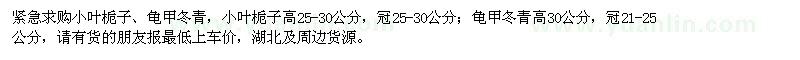 求购小叶栀子、龟甲冬青
