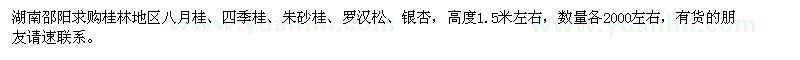 求购八月桂、四季桂、朱砂桂