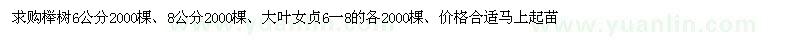 求购6、8公分榉树、6一8公分大叶女贞