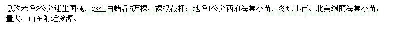 求购速生国槐、速生白蜡、西府海棠小苗、冬红小苗、北美绚丽海棠小苗