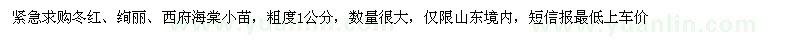 求购冬红、绚丽、西府海棠小苗
