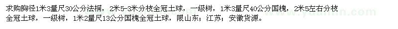 求购30公分法桐、13、40公分国槐