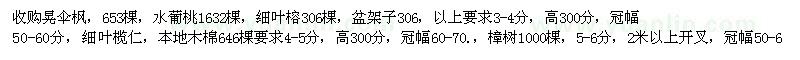 求购晃伞枫、水葡桃、细叶榕