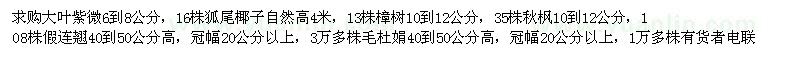 求购大叶紫微、狐尾椰树、樟树