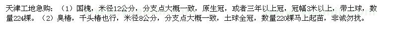 求购12公分国槐、8公分臭椿（千头椿）