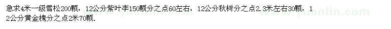 求购一级雪松、紫叶李、楸树