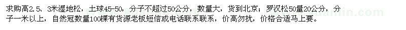 求购高2.5、3米湿地松，20公分罗汉松