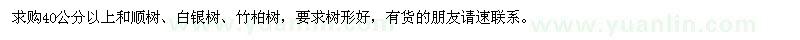 求购40公分以上和顺树、白银树、竹柏树