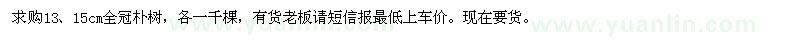 求购13、15公分全冠朴树