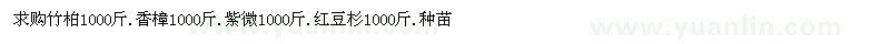 求购竹柏、香樟、紫微