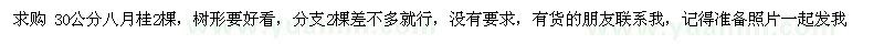 求购30公分桂花、八月桂 