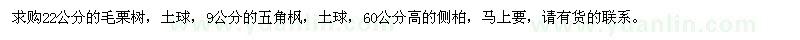 求购毛栗树、五角枫、侧柏