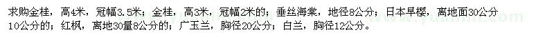 求购金桂、垂丝海棠、日本早樱等苗木