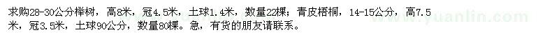 求购28-30公分榉树、14-15公分青皮梧桐