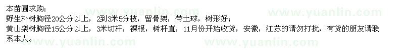 求购胸径20公分以上野生朴树、胸径15公分以上黄山栾树