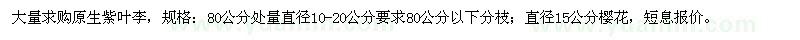 求购80公分处量直径10-20公分紫叶李、直径15公分樱花