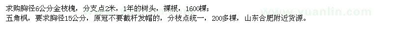 求购胸径6公分金枝槐、胸径15公分五角枫