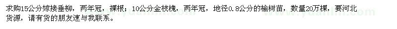 求购垂柳、金枝槐、榆树苗