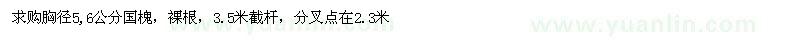 求购胸径5、6公分国槐