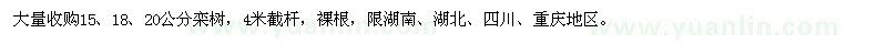 求购15、18、20公分栾树