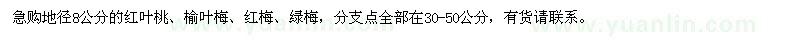 求购地径8公分红叶桃、榆叶梅、红梅