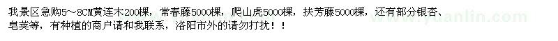 求购黄连木、常春藤、爬山虎等