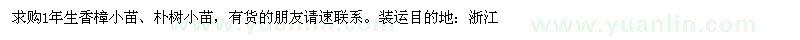 求购1年生香樟小苗、朴树小苗