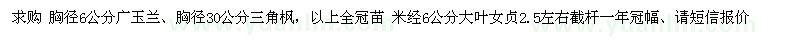 求购广玉兰、三角枫、大叶女贞 