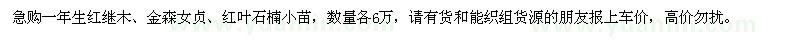 求购红继木、金森女贞、红叶石楠小苗