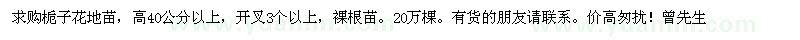 求购高40公分以上栀子花地苗