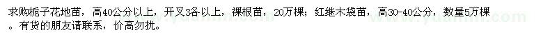 求购高40公分以上栀子花地苗、30-40公分红继木袋苗