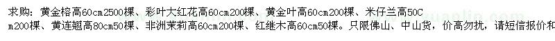 求购黄金榕、彩叶大红花、米仔兰等