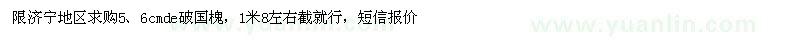 求购5、6公分破国槐