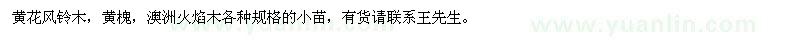 求购黄花风铃木、黄槐、澳洲火焰木