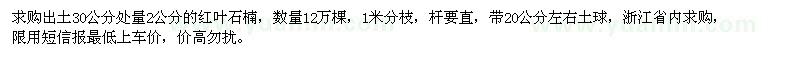 求购出土30公分处量2公分红叶石楠