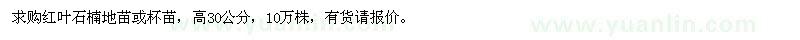 求购高30公分红叶石楠